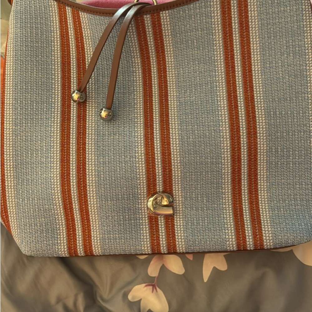 Striped Blue and Brown Women's Bag